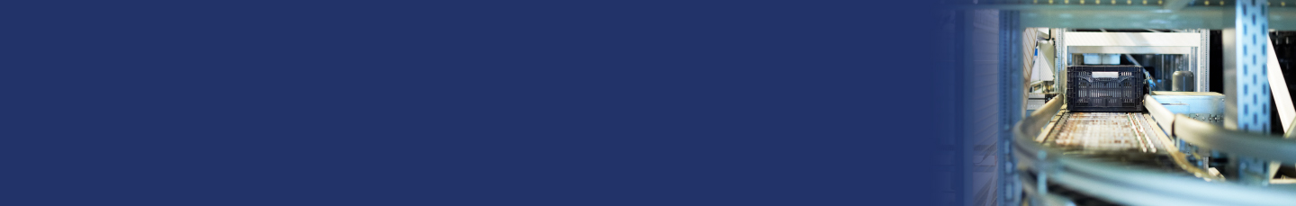 Standards Banner